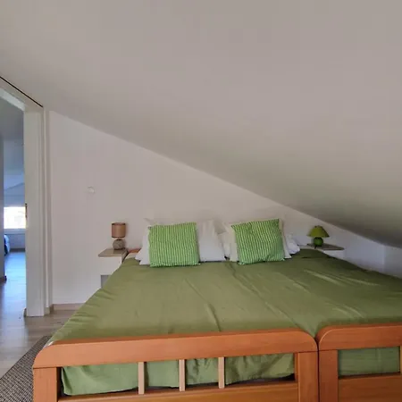 Na Otoku Krku Blizu Plaze Čižići