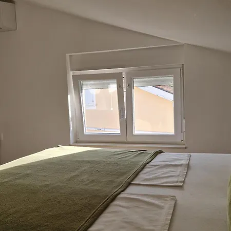 Na Otoku Krku Blizu Plaže Čižići