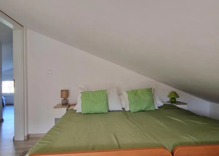 Na Otoku Krku Blizu Plaze Čižići